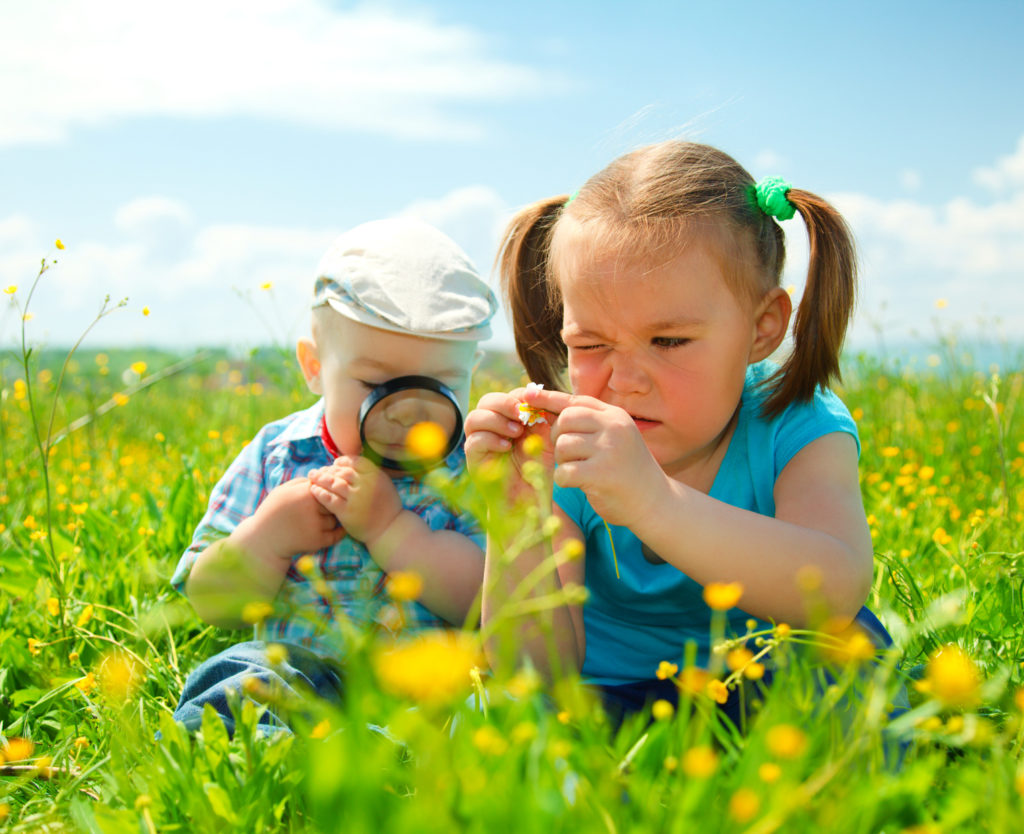 Children are playing on green meadow examining field flowers using magnifying glass